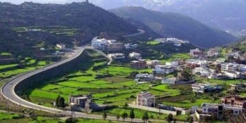 مزارع منطقة الباحة: تنوع المحاصيل الزراعية ودورها في تلبية احتياجات الأسواق المحلية