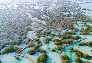 منتزه قرم الجبيل في أبوظبي.. واحة جذابة لعشاق الطبيعة الساحرة