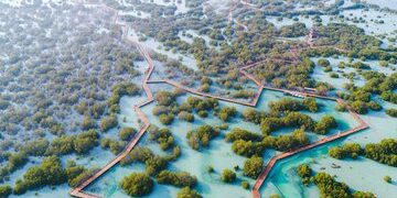 منتزه قرم الجبيل في أبوظبي.. واحة جذابة لعشاق الطبيعة الساحرة