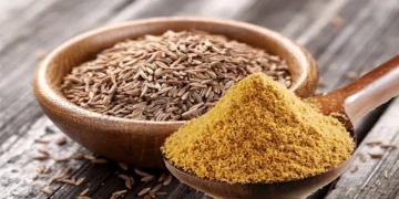 الكمّون.. فوائد صحية وأضرار محتملة يجب الحذر منها (إنفوجراف)