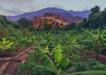 مبادرة السعودية الخضراء تواصل إحراز تقدّم ملموس.. إنجازات تتوالى لبناء غدٍ مزدهر في المملكة