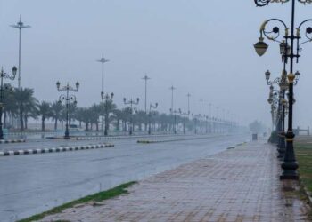 عاجل| الأرصاد تكشف تفاصيل طقس الخميس: أمطار رعدية ورياح مثيرة للأتربة