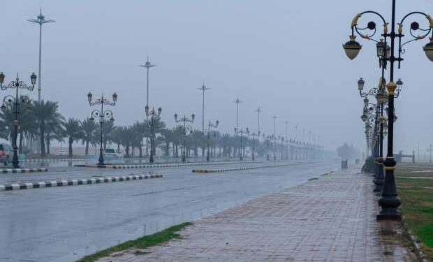 عاجل| الأرصاد تكشف تفاصيل طقس الخميس: أمطار رعدية ورياح مثيرة للأتربة