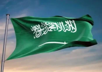 «إندريك» ينضم إلى تشكيلة البرازيل بديلاً عن «نيمار» في مباراتي تصفيات كأس العالم