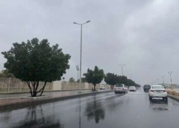 الأرصاد: أمطار رعدية وغبار ورياح نشطة على مناطق متفرقة بالمملكة اليوم