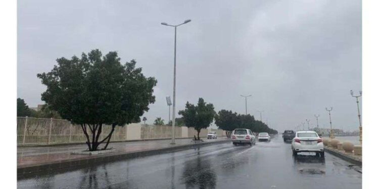 الأرصاد: أمطار رعدية وغبار ورياح نشطة على مناطق متفرقة بالمملكة اليوم