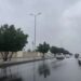 الأرصاد: أمطار رعدية وغبار ورياح نشطة على مناطق متفرقة بالمملكة اليوم
