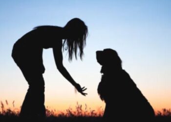 هل يفهم الحيوانات لغة البشر؟ «مفاجأة»