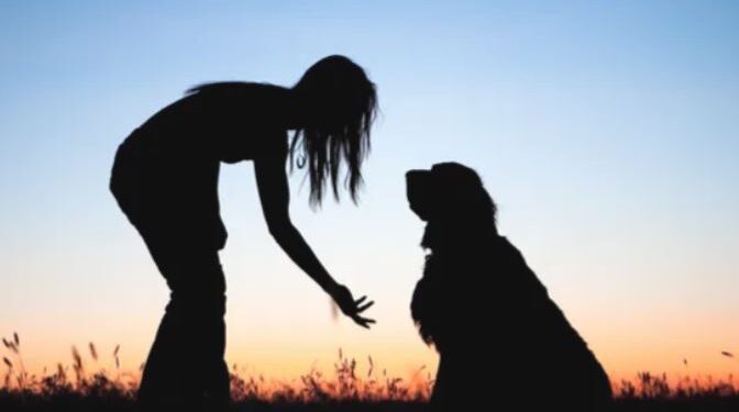 هل يفهم الحيوانات لغة البشر؟ «مفاجأة»