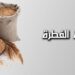 مقدار زكاة الفطر 2025 من الأرز وآخر موعد لإخراج الزكاة