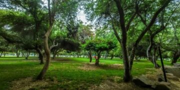 منتزه الملك فهد بنجران ملاذ هادئ للباحثين عن الاسترخاء