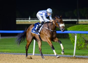 1.5 مليون درهم جوائز «سباق ميدان» بدبي.. ترقبوه الجمعة المقبل