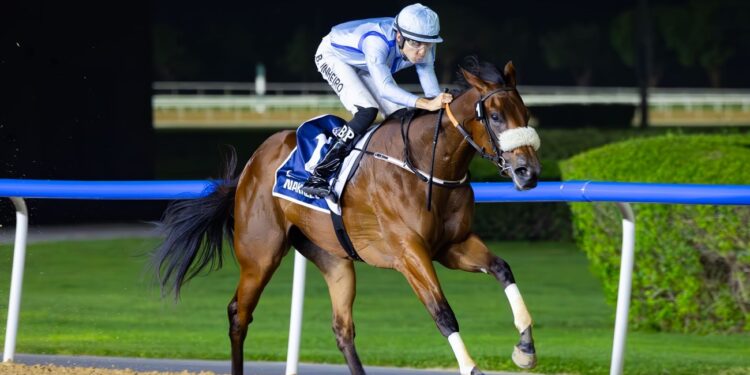 1.5 مليون درهم جوائز «سباق ميدان» بدبي.. ترقبوه الجمعة المقبل