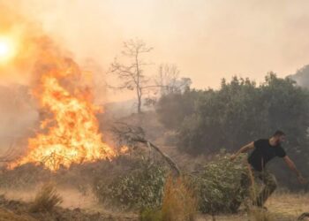 اليونان تفرض حظر شامل على إشعال النيران في الأماكن المفتوحة لمكافحة الحر والجفاف