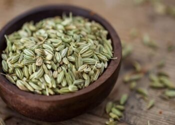 الشمر واليانسون فوائد جمة للجهاز الهضمي.. 3 فئات محرومة من تناول العشبتين