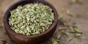 الشمر واليانسون فوائد جمة للجهاز الهضمي.. 3 فئات محرومة من تناول العشبتين