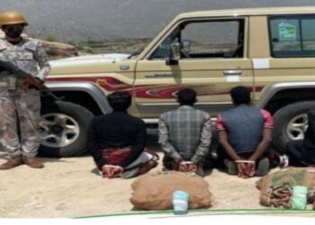 حرس الحدود بعسير يضبط 4 مخالفين بحوزتهم 360 كجم من القات المخدر