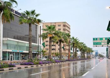 أمطار خفيفة والسماء ملبدةً بالغيوم في المنطقة الشرقية