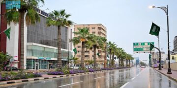 أمطار خفيفة والسماء ملبدةً بالغيوم في المنطقة الشرقية