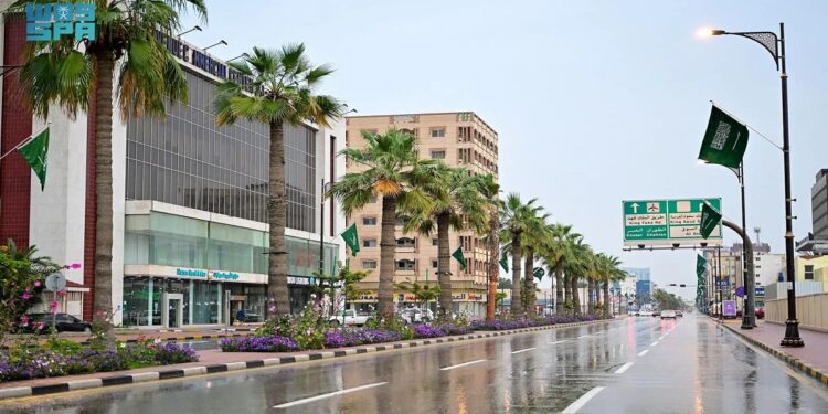 أمطار خفيفة والسماء ملبدةً بالغيوم في المنطقة الشرقية