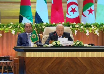 أبو الغيط: لا سلام دون إنهاء الاحتلال وإقامة الدولة الفلسطينية