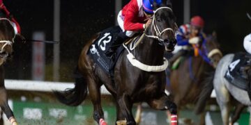 تتويج الجواد الفائز بكأس الأمن العام ضمن فعاليات موسم سباق الخيل بالرياض