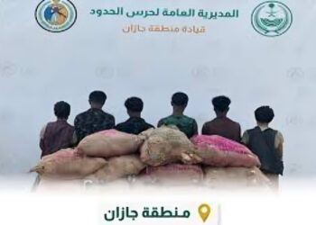 إحباط تهريب 83 كيلو من القات المخدر وضبط 6 مخالفين في جازان