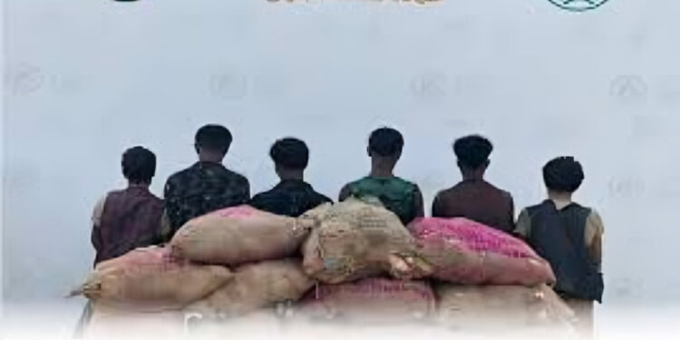 إحباط تهريب 83 كيلو من القات المخدر وضبط 6 مخالفين في جازان