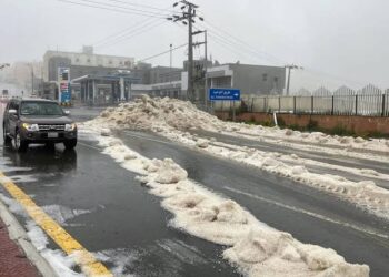 «ذهب الشتاء وهل الربيع».. تغيرات شديدة في طقس السعودية وتقلبات بأحوال الطقس