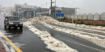 «ذهب الشتاء وهل الربيع».. تغيرات شديدة في طقس السعودية وتقلبات بأحوال الطقس