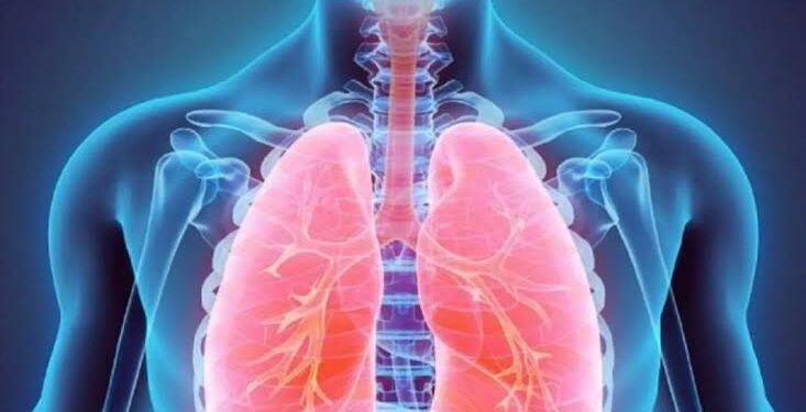 مرض خطير يلتهم الرئتين بسبب تدخين الشيشة