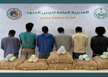 حرس الحدود بمنطقة عسير يقبض على 6 مخالفين لنظام أمن الحدود لتهريبهم 225 كيلوجرامًا من نبات القات المخدر