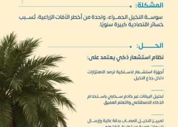 جامعة الأمير سلطان تحصد براءة اختراع للكشف المبكر عن سوسة النخيل الحمراء باستخدام الذكاء الاصطناعي