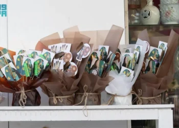 “سوق السوريين” في الحدود الشمالية.. وجهة تراثية لأكثر من 45 عامًا