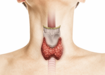اضطرابات الغدة الدرقية: الأعراض والتشخيص والعلاج