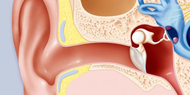 اليوم العالمي للسمع.. نشر للوعي حول أهمية السمع وحل مشكلاته