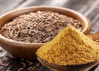 الكمّون.. فوائد صحية وأضرار محتملة يجب الحذر منها (إنفوجراف)
