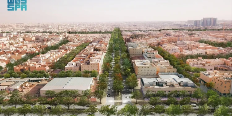 بزراعة 10 مليارات شجرة.. مبادرة السعودية الخضراء لمكافحة التغير المناخي وبناء مستقبل مستدام