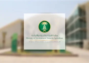 البيئة تؤكد دور المنتجات المحلية في تحقيق الاستدامة البيئية والاقتصادية