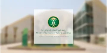 البيئة تؤكد دور المنتجات المحلية في تحقيق الاستدامة البيئية والاقتصادية