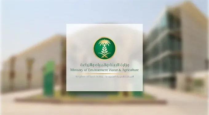 البيئة تؤكد دور المنتجات المحلية في تحقيق الاستدامة البيئية والاقتصادية