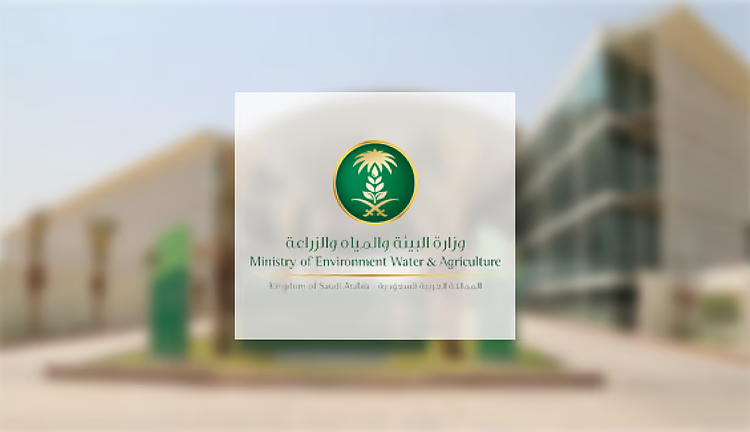 فعاليات توعوية وابتكارات.. أسبوع بيئي توعوي شامل في منطقة مكة