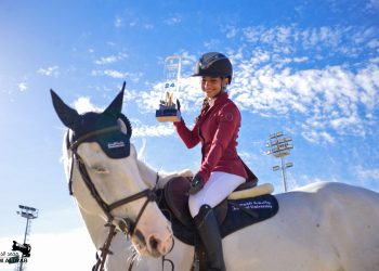 فنون الحميدان