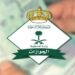 الجوازات: إصدار 15135 قرارًا بحق مخالفين الإقامة والعمل وأمن الحدود