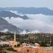 الباحة