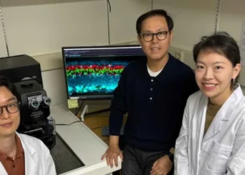 باحثون كوريون يبتكرون علاجًا يعيد البصر لأصحاب الشبكية التالفة