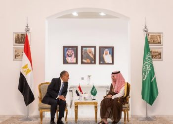 تعاون مصري سعودي في قضية قطاع غزة.. التفاصيل الكاملة