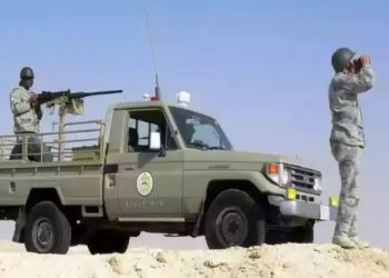 القبض على مخالفين لنظام أمن الحدود لتهريبهم 171 كلجم من نبات القات المخدر