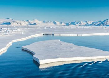 جليد القطب الشمالي