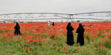 محمية الديدحان في حائل تجذب الزوار بعروض طبيعية مميزة